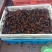 湖虾小龙虾主养4-6钱（20-30克）食用活虾