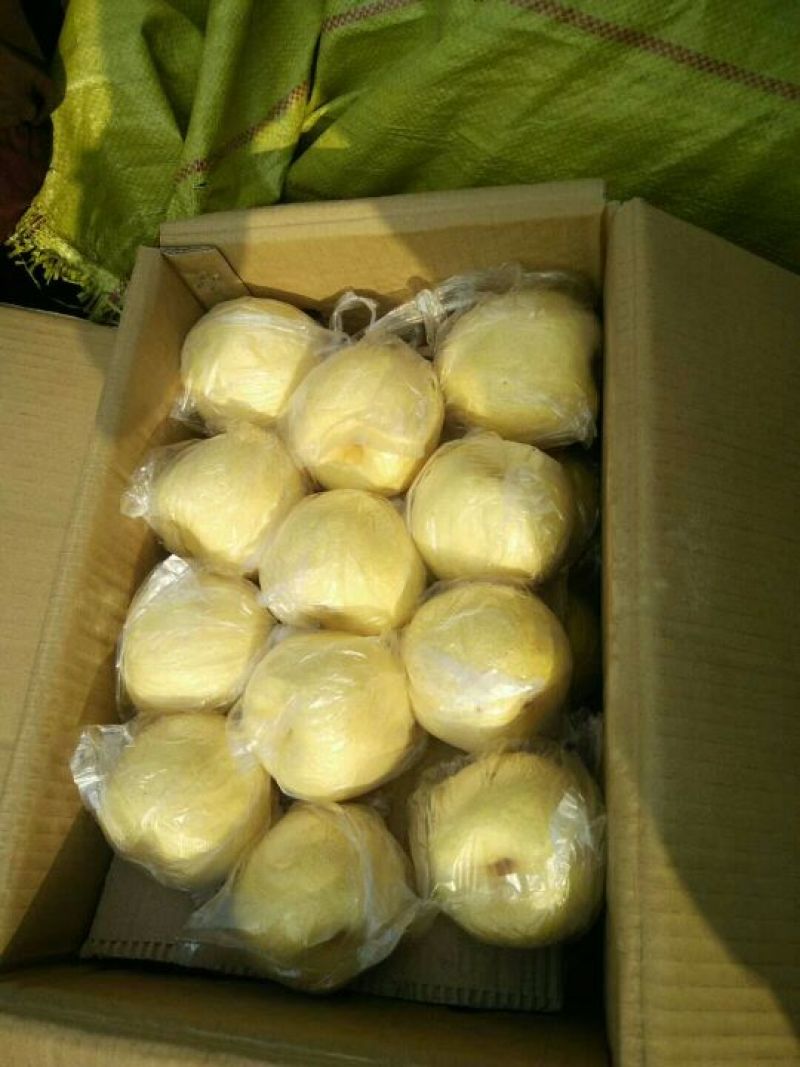 酥梨膜袋精品包装大量有货有需要的老板200g起步