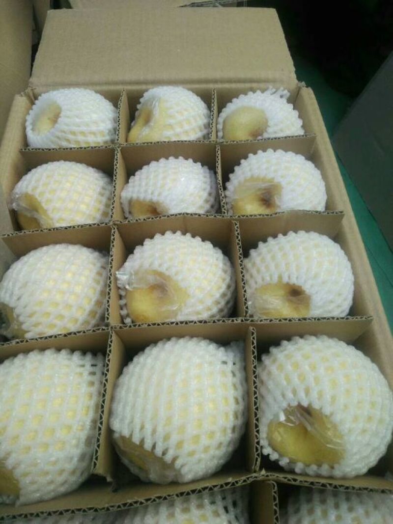 酥梨膜袋精品包装大量有货有需要的老板200g起步