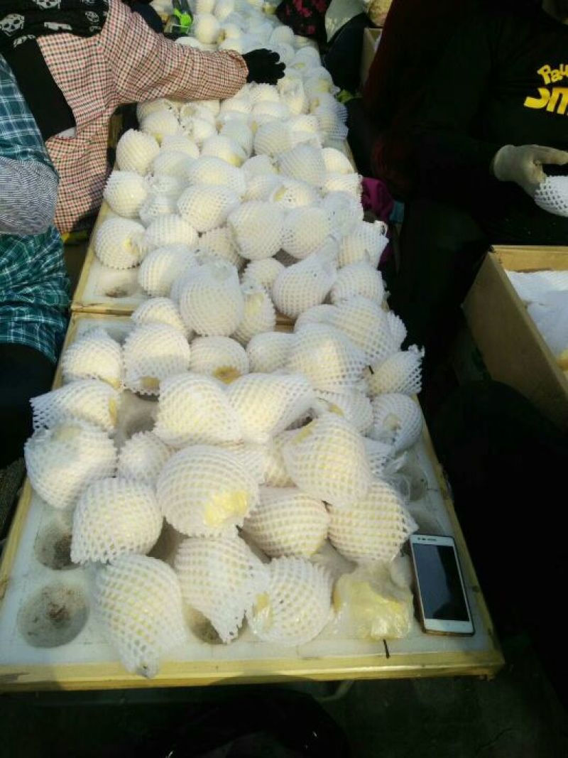 酥梨膜袋精品包装大量有货有需要的老板200g起步