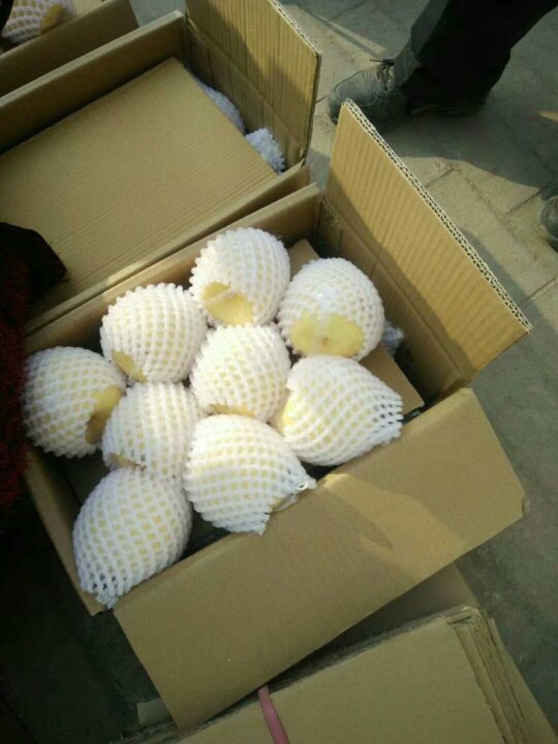 酥梨膜袋精品包装大量有货有需要的老板200g起步
