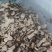 白术20~25g