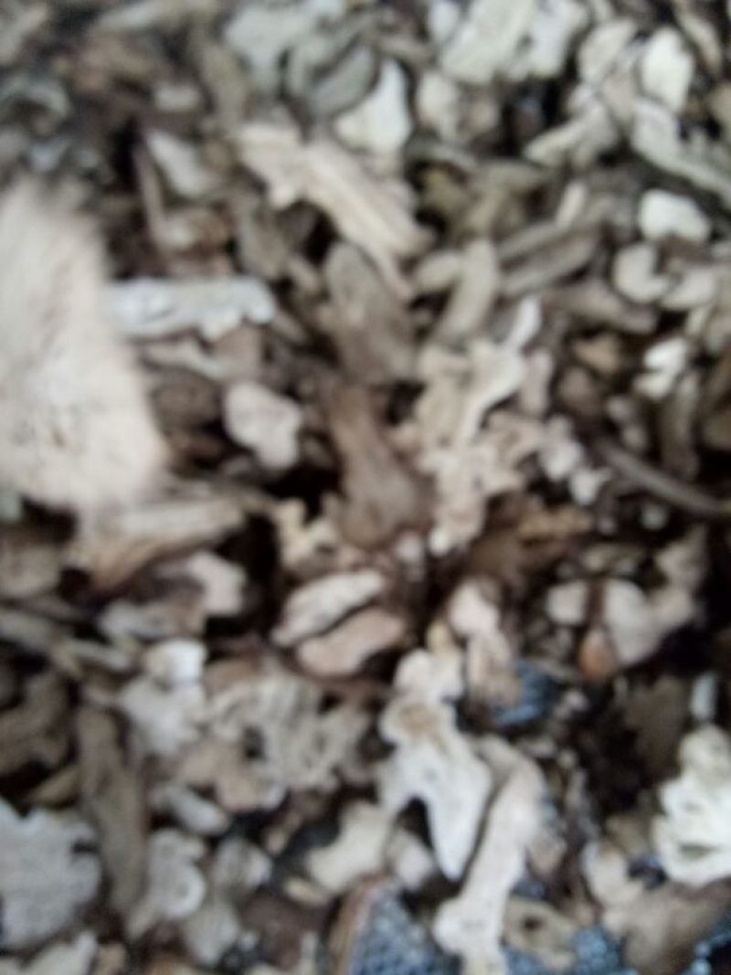 白术20~25g