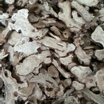 白术20~25g