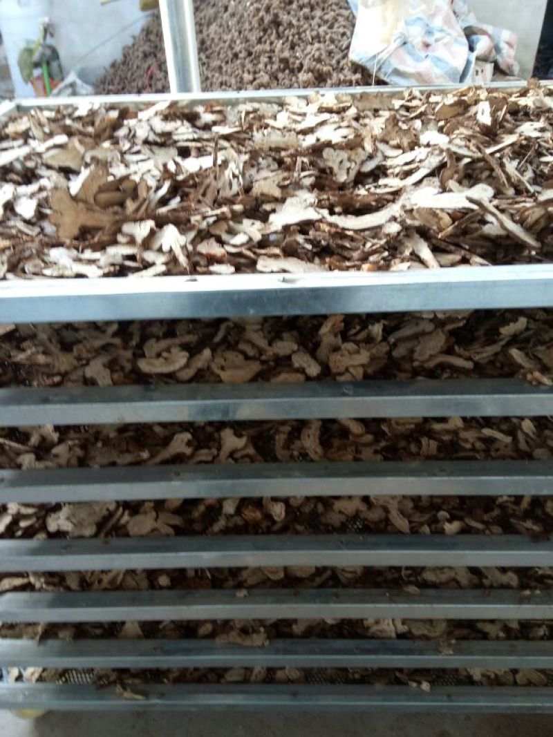 白术20~25g
