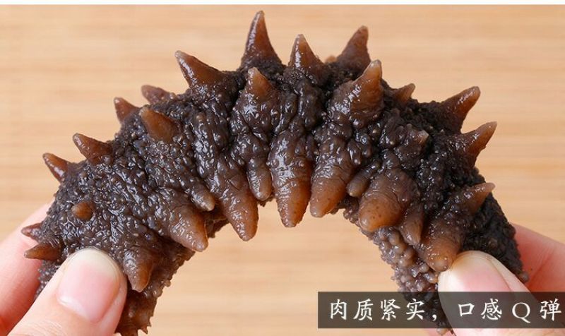 海参食用淡干