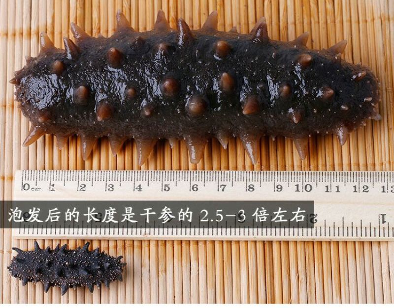 海参食用淡干