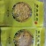 皇菊每朵平均尺寸8cm接受预订