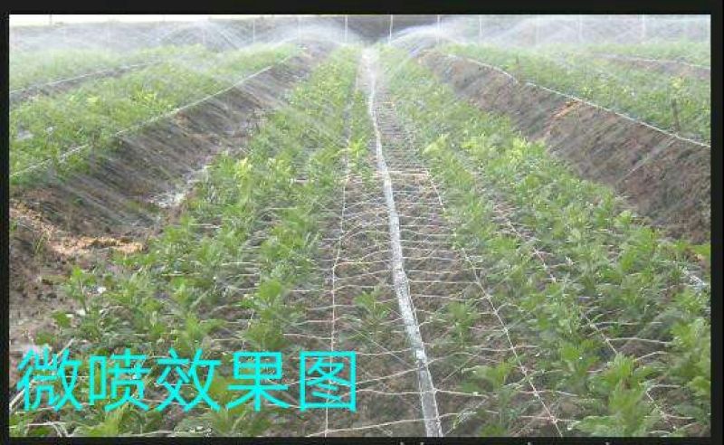微喷带滴灌带水带接头齐全N45《2/3/5孔》
