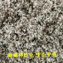 棉籽壳新疆棉籽壳中壳中绒蘑菇种植食用菌栽培
