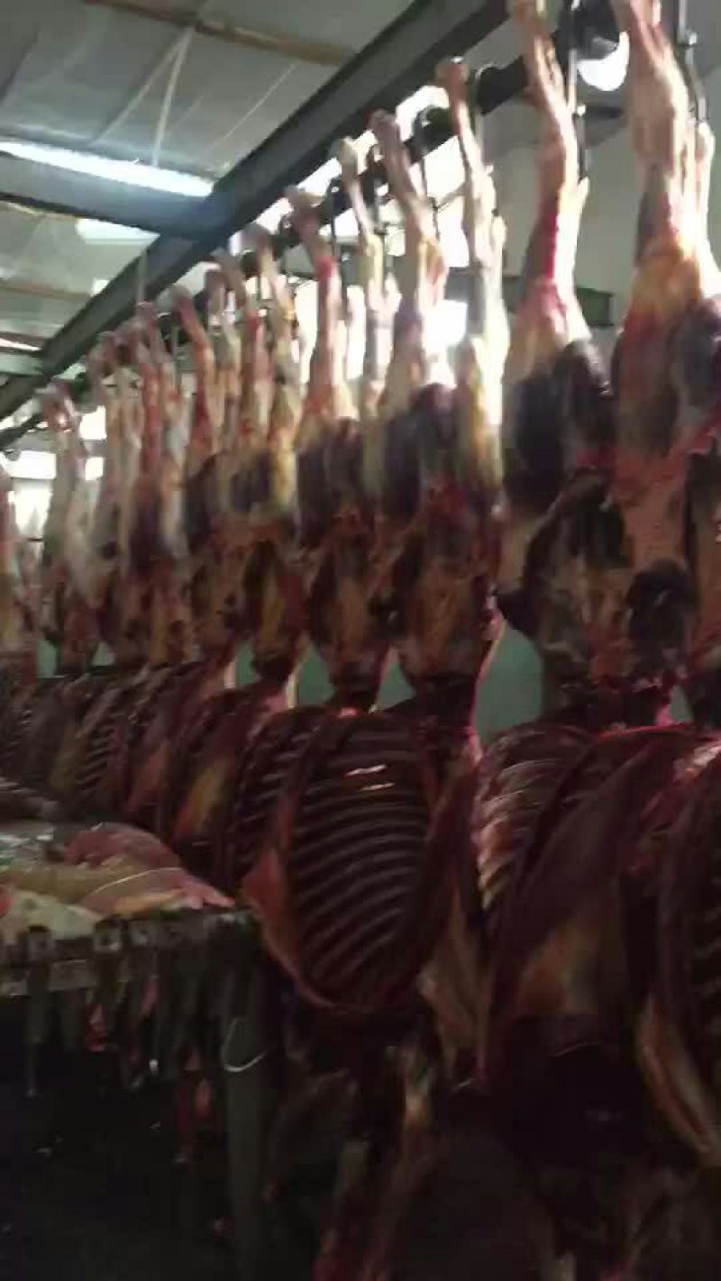 驴肉鲜货