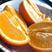 伦晚脐橙专业代收精品货二级果欢迎咨询订购
