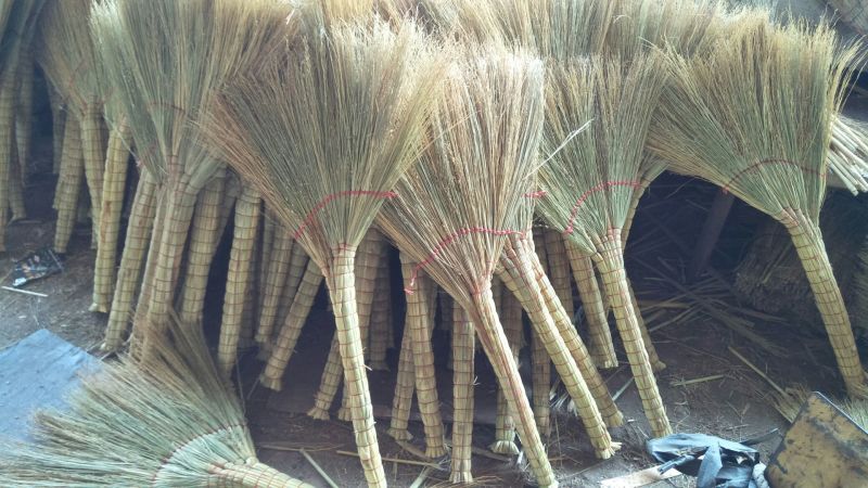 笤帚苗子产地直销量大从优