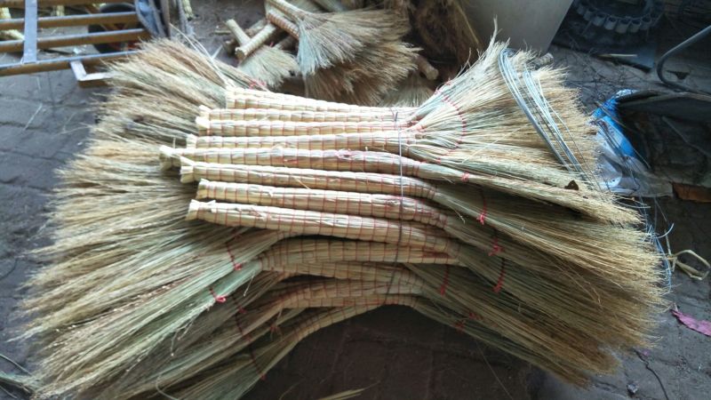 笤帚苗子产地直销量大从优
