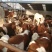 西门塔尔牛犊300~400kg