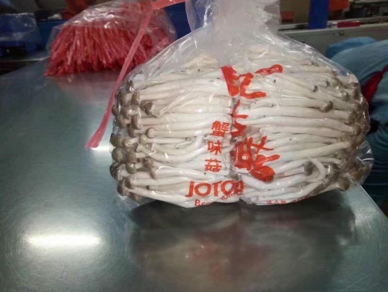 蟹味菇特级