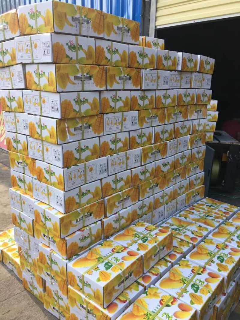 贵妃芒2.5-5两左右