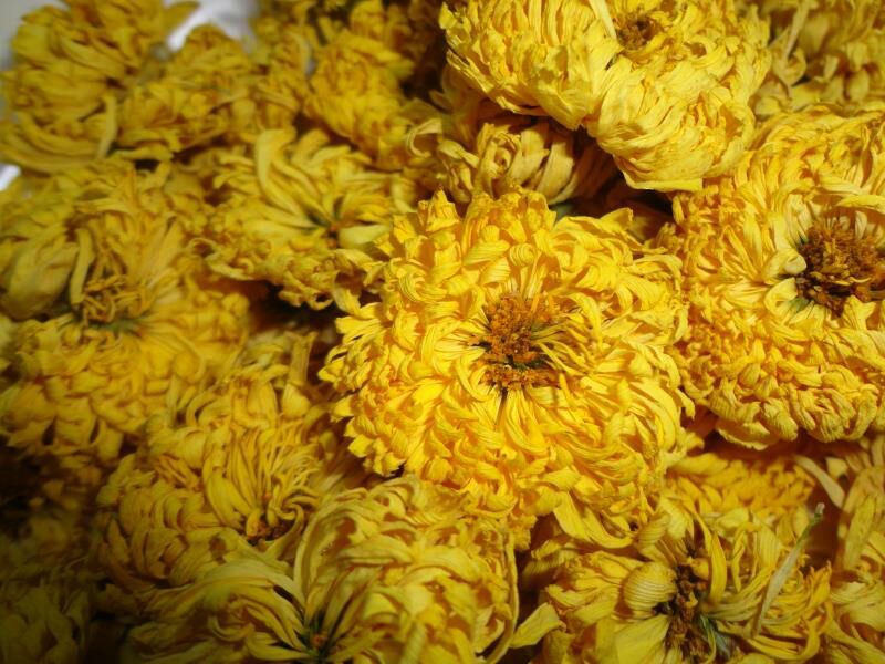 皇菊散装皇菊，3件包邮