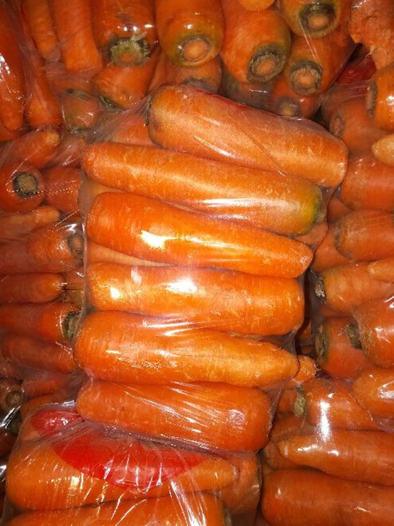 三红胡萝卜水洗3两以上15厘米以上红