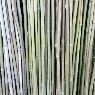 钢竹3~4m