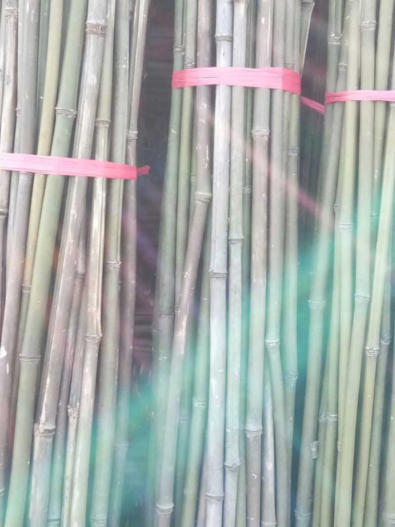 钢竹3~4m