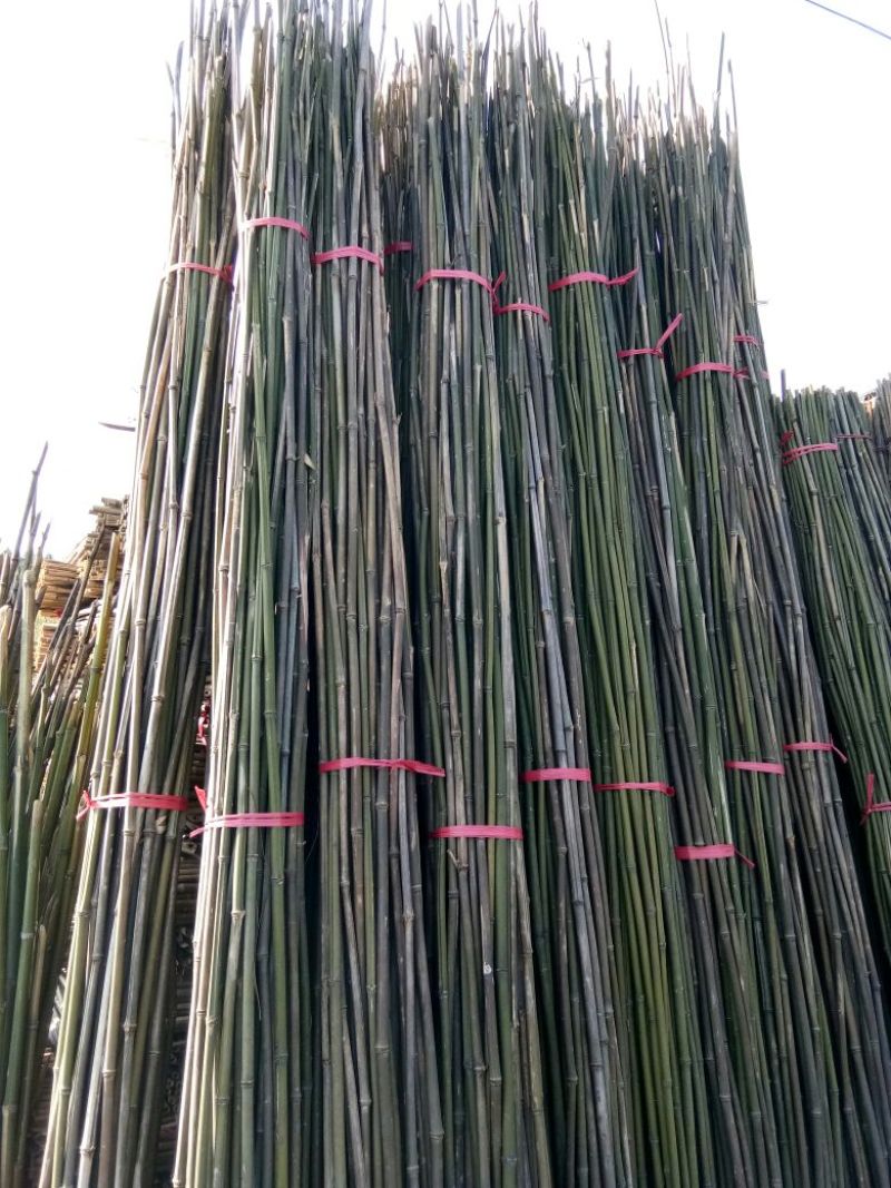 钢竹3~4m