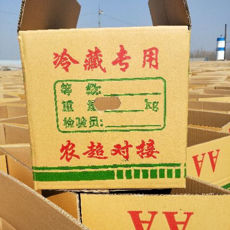纸箱2号（530*230*290）