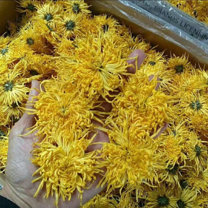 干菊花