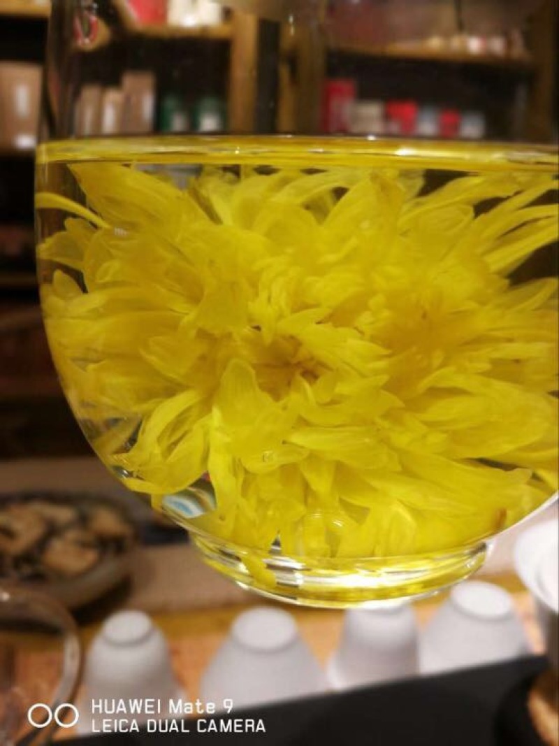 干菊花