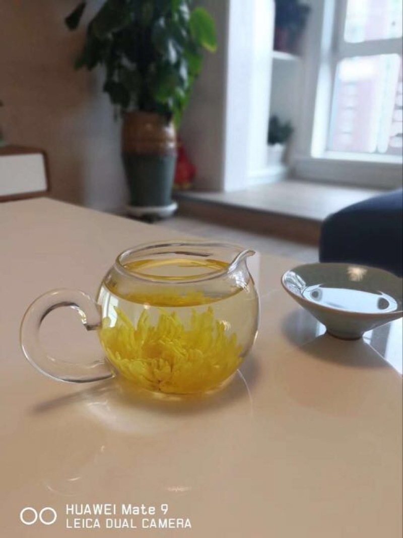 干菊花