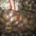 荷兰十五土豆精品3两以上