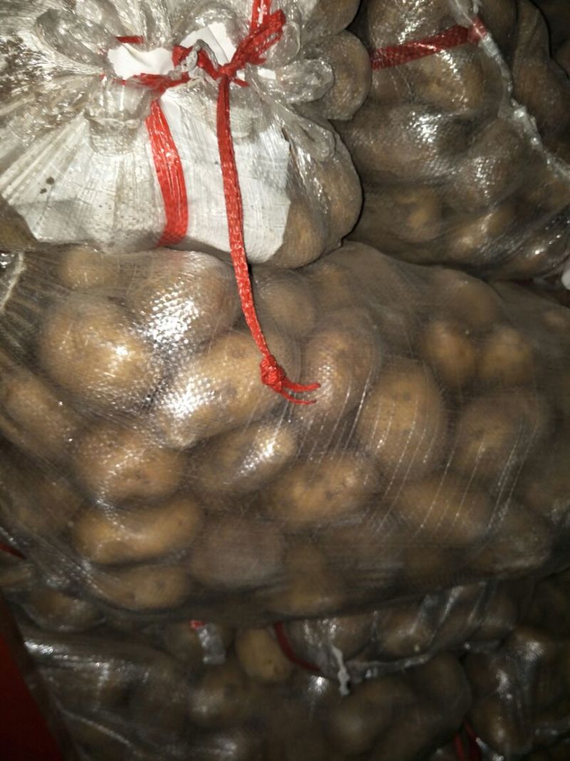 荷兰十五土豆精品3两以上