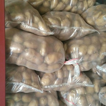 荷兰十五土豆精品3两以上