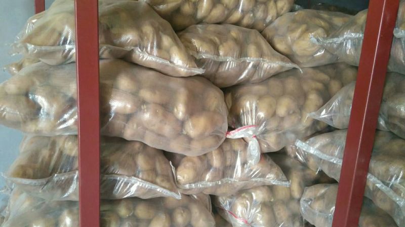 荷兰十五土豆精品3两以上