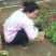 雏菊10cm以下基地直发量大从优欢迎客户来电咨询