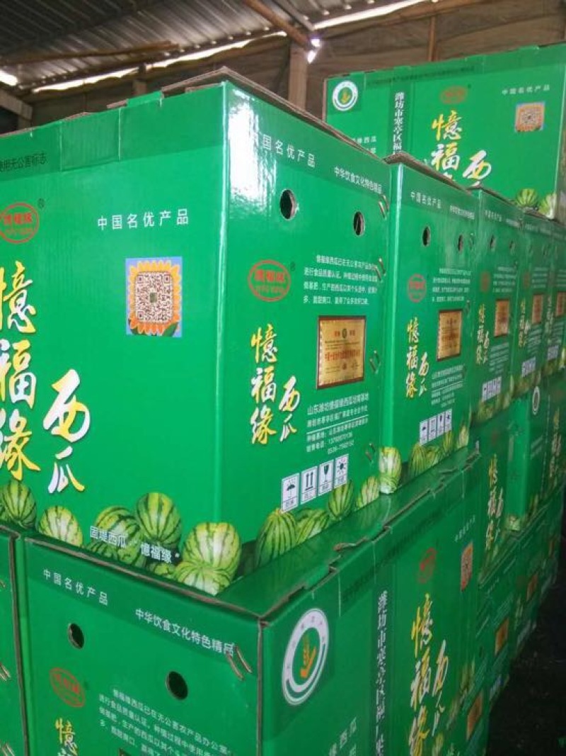 早春红玉3斤打底10成熟1茬