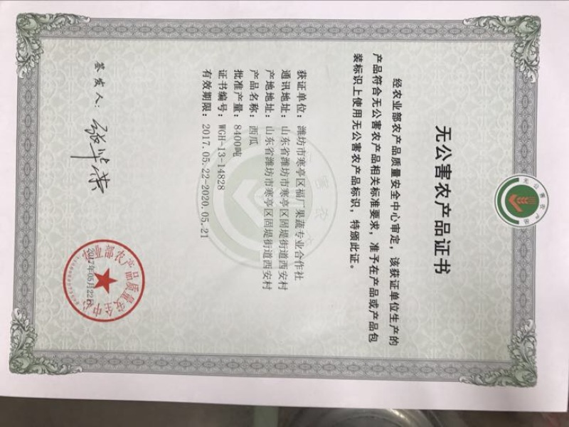早春红玉3斤打底10成熟1茬
