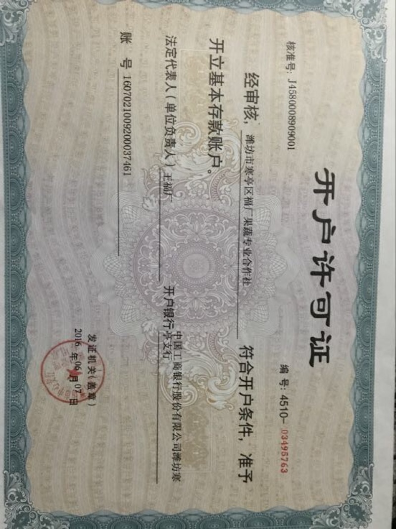 早春红玉3斤打底10成熟1茬