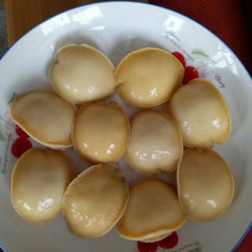 鲍鱼食用
