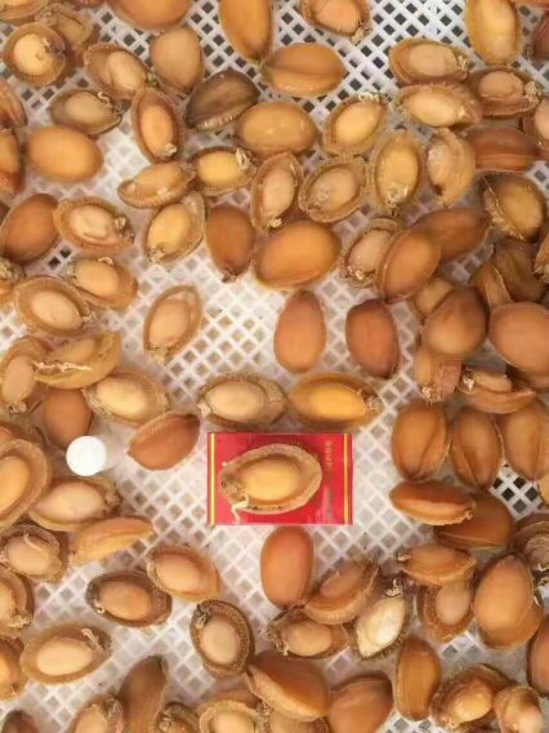 鲍鱼食用