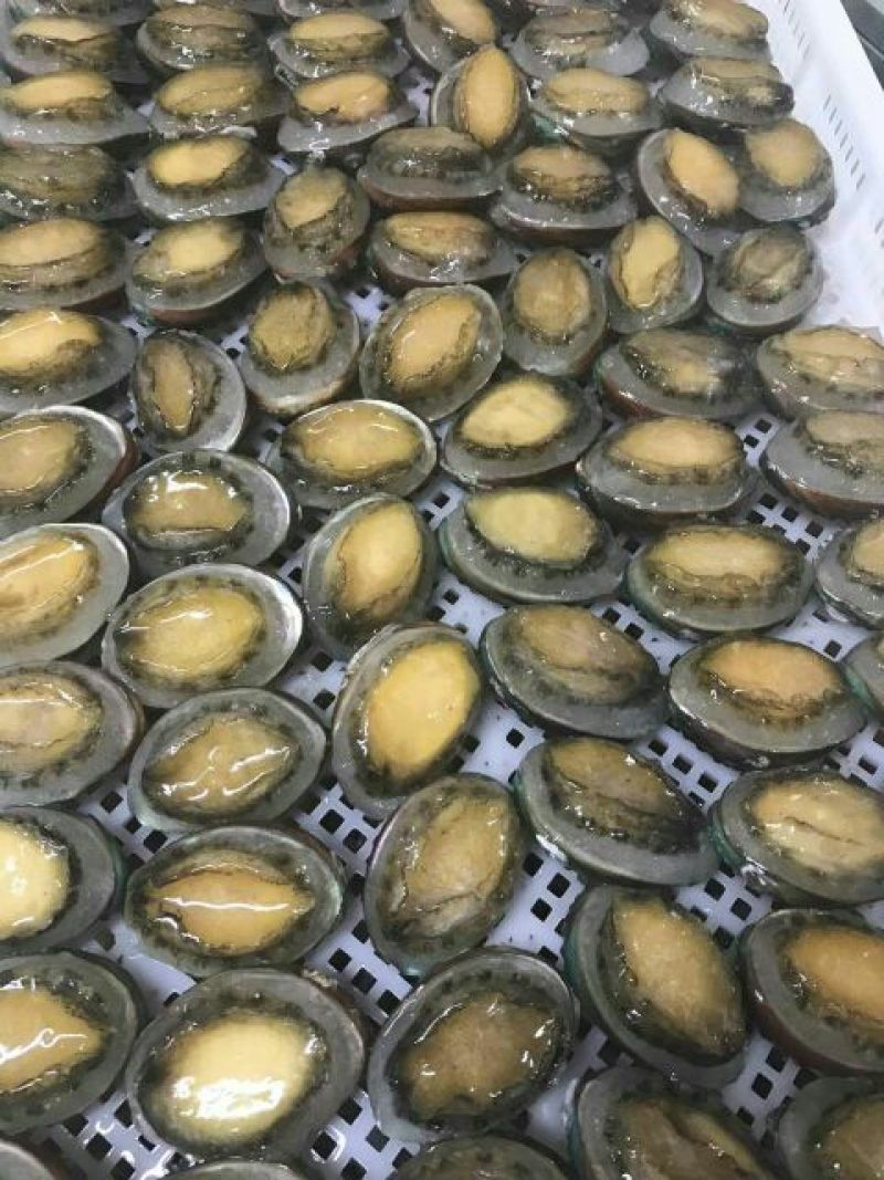 鲍鱼食用