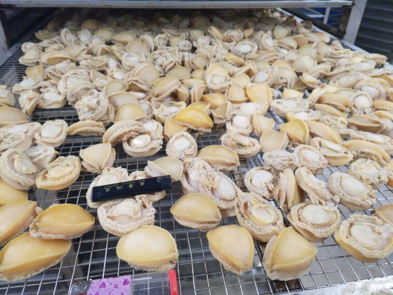 鲍鱼食用