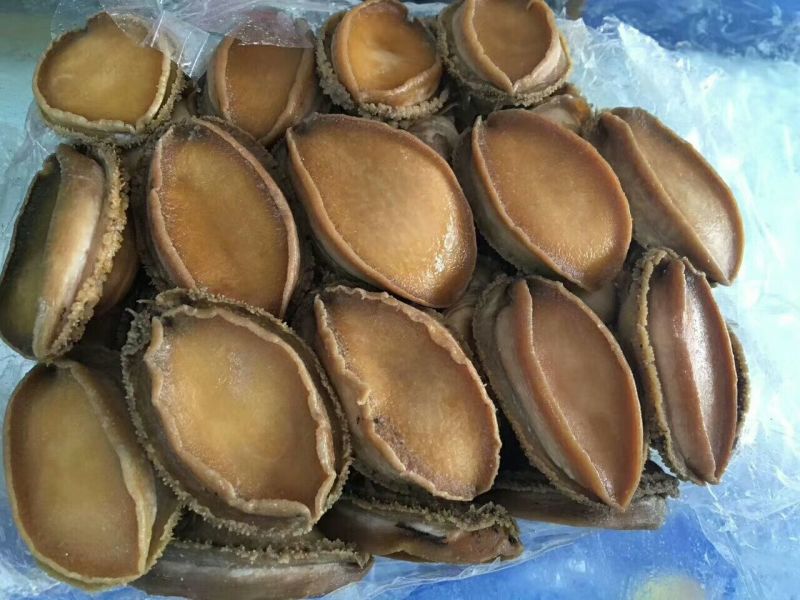 鲍鱼食用