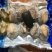 鲍鱼食用