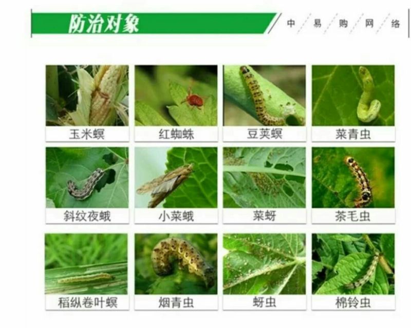杀虫剂乳油瓶装中毒