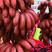 香蕉苗红美人红香蕉苗带营养土发货包成活