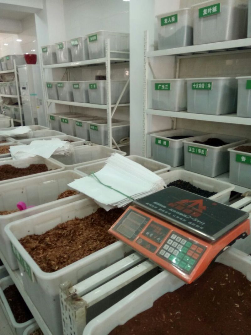美国红枫芽苗，秋火焰95%以上各种，小苗，种子