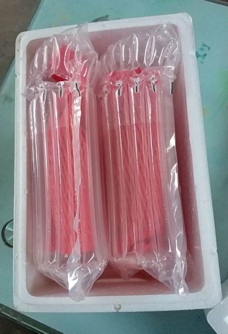 羊角蜜甜瓜0.5斤以上精品