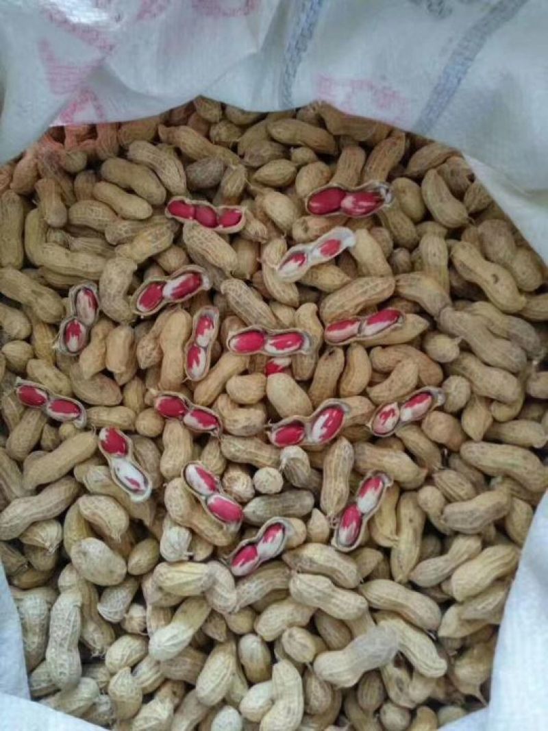 黑花生油自产自销，传统工艺，先进技术压榨油