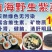 霞浦紫菜人工养殖头水